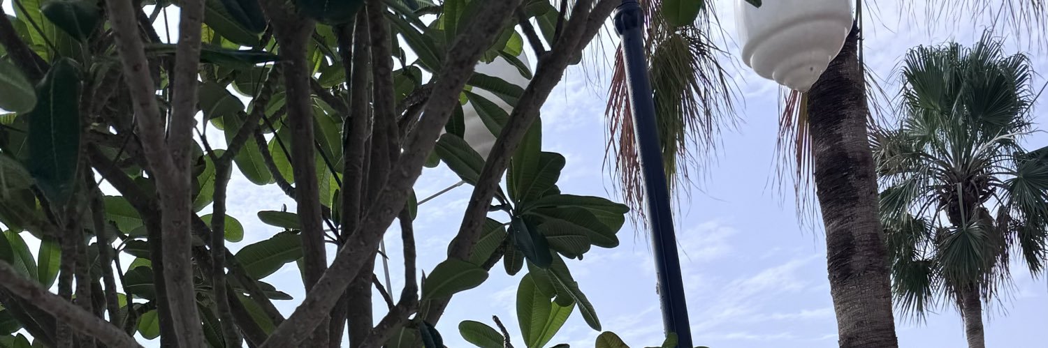 MS_0O0's profile banner image