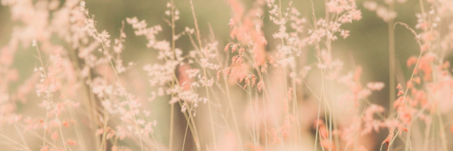 raraswaita's profile banner image
