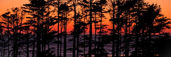 SeabrookWA Profile Banner