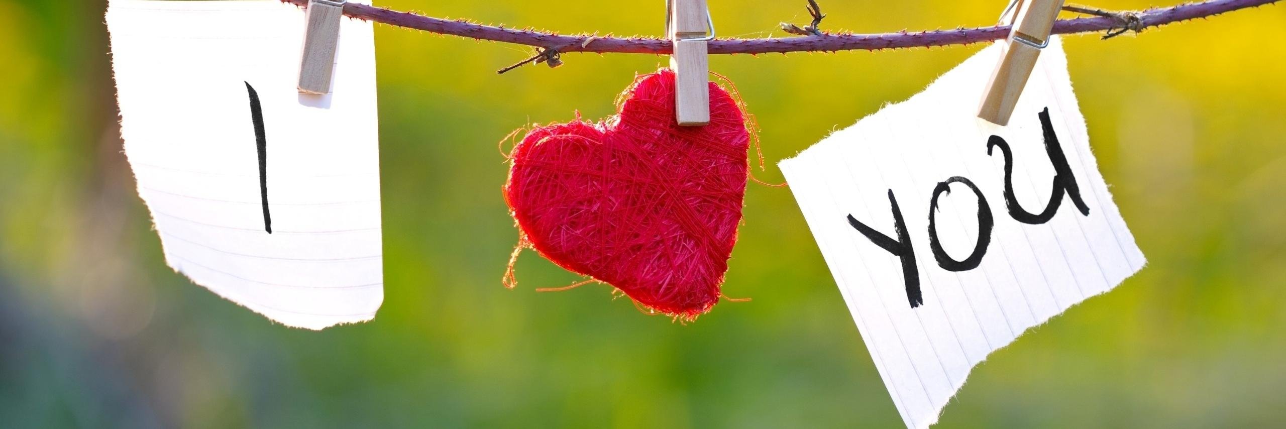elaltatu's profile banner image