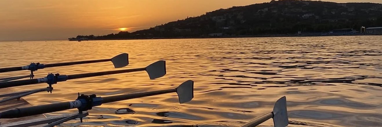 Selindrella® banner