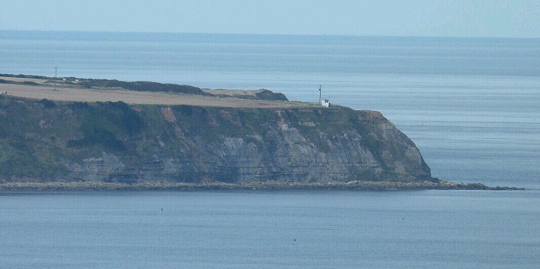 Long Nab Birder banner