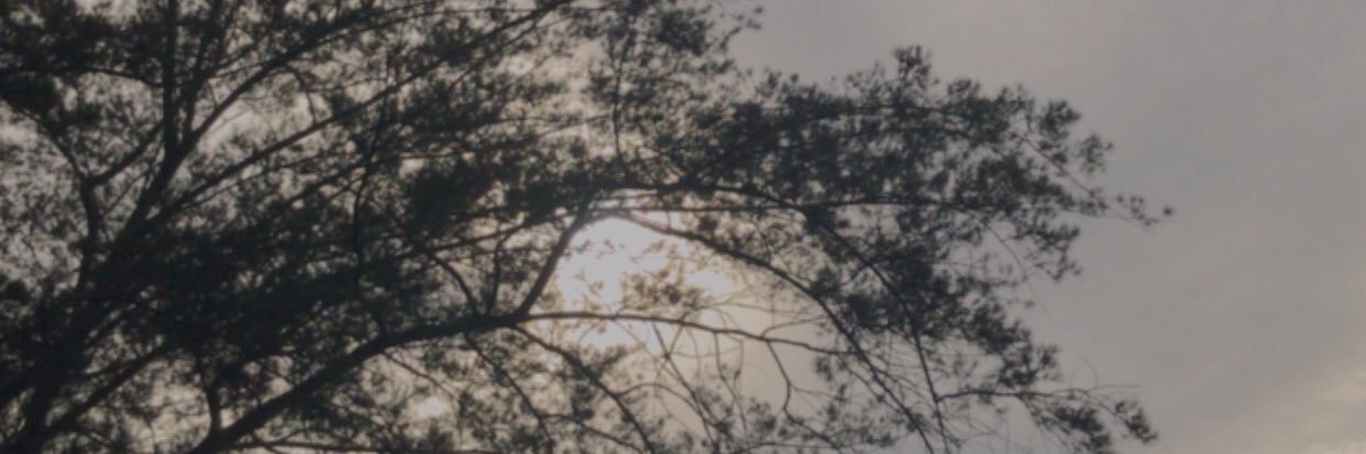 haznitajsn's profile banner image