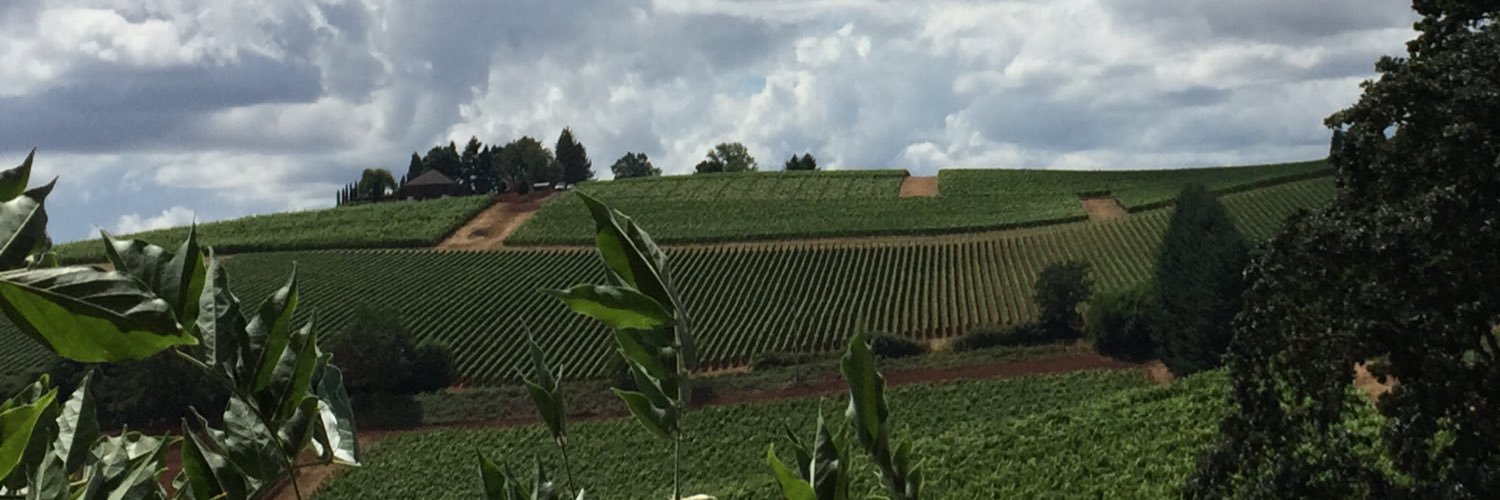NWVines's profile banner image