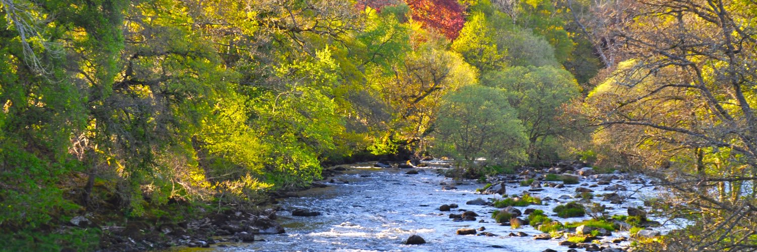 Hannah Matthews banner