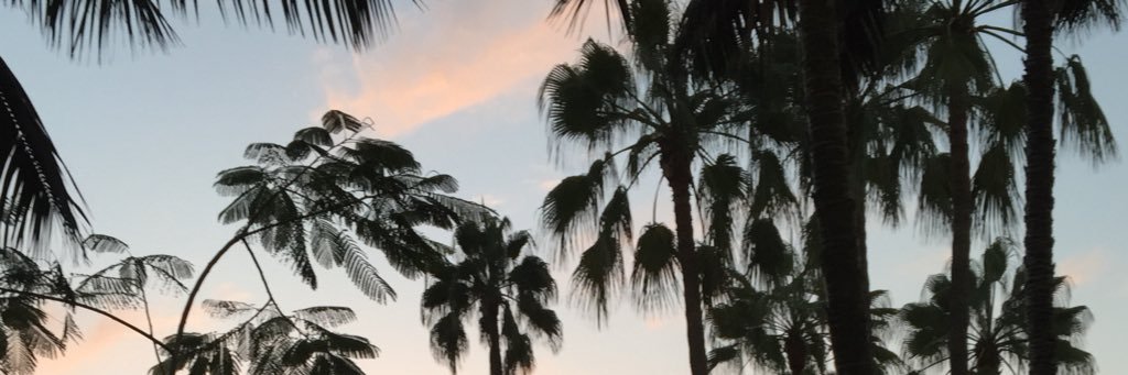 _francescaaax's profile banner image