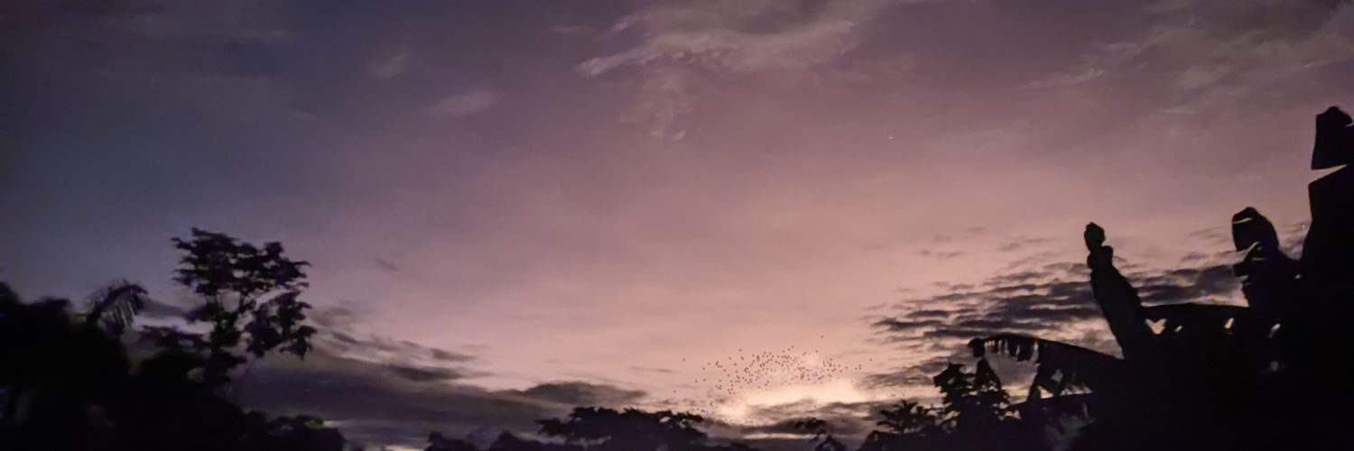 Matacabesa's profile banner image