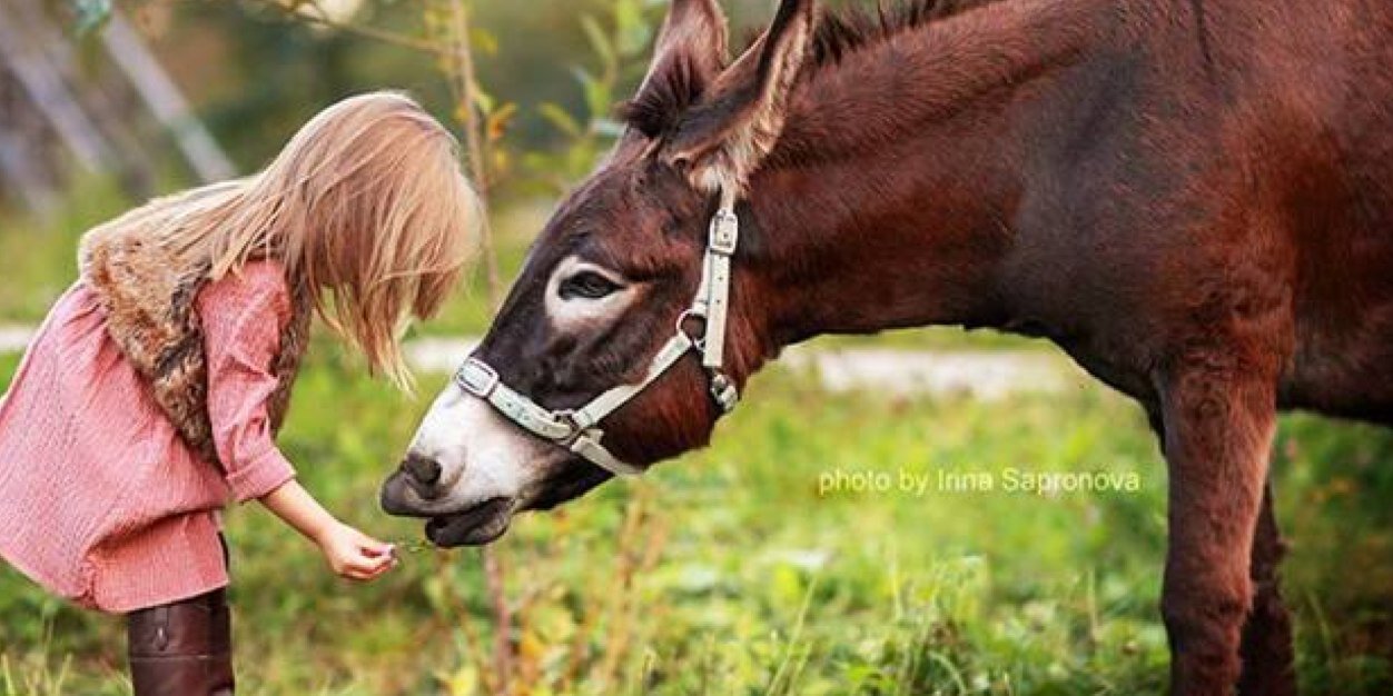 christinarynti's profile banner image