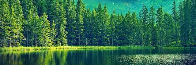 Gazibey45's profile banner image