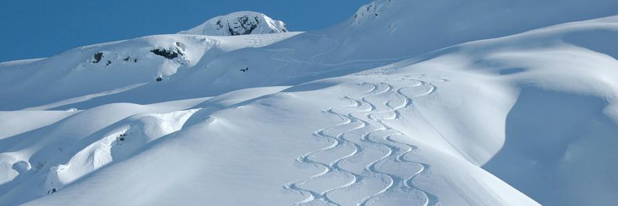 snart_vd's profile banner image