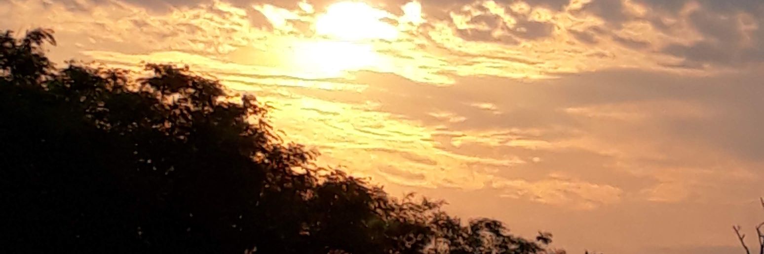 zfmodesto's profile banner image