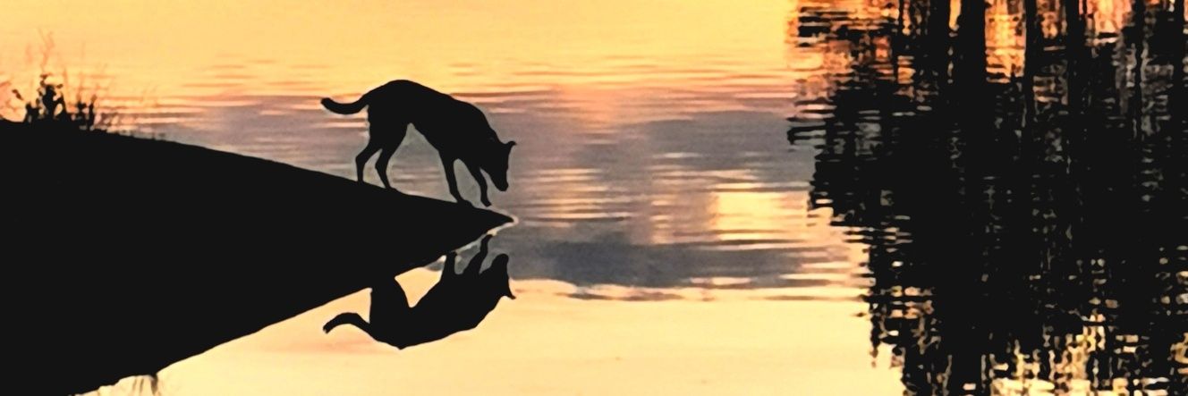 Anna Yltävä banner