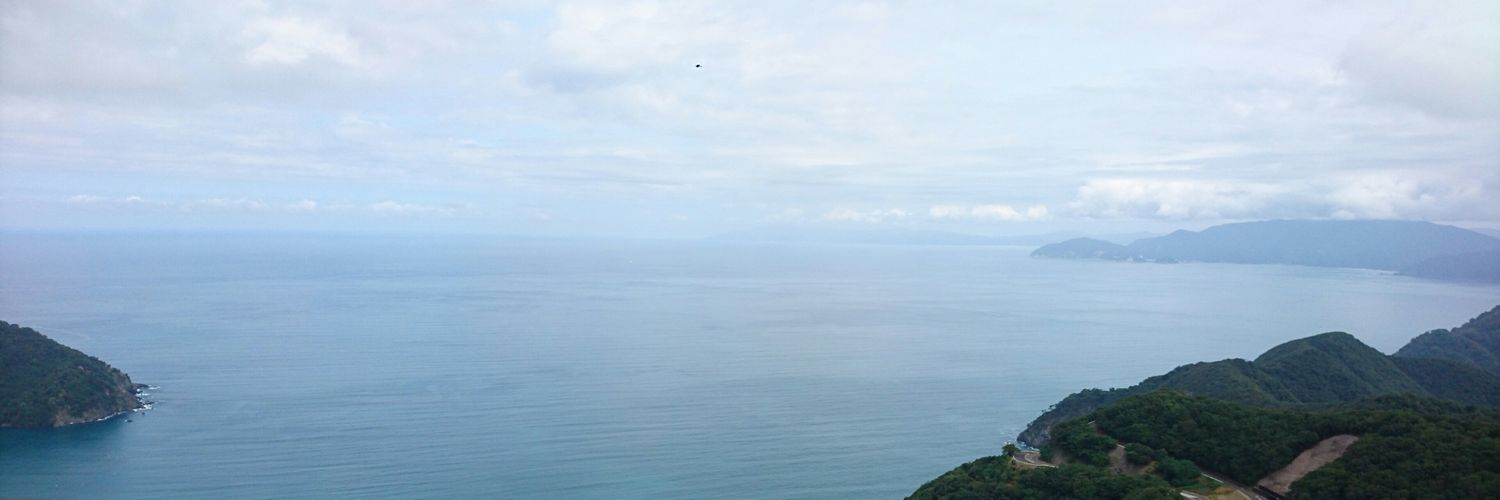 痩せないパキラ banner