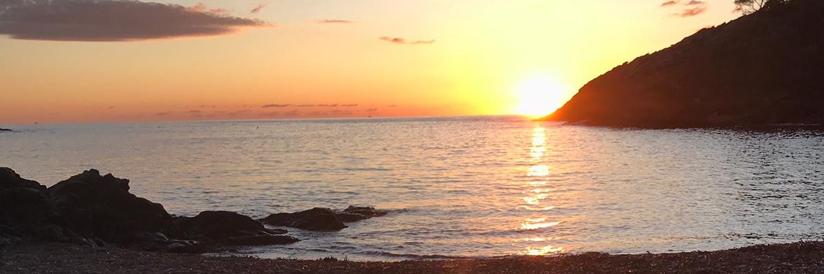 erikades4's profile banner image