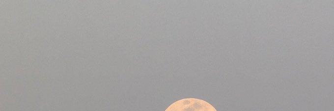 messycriinge's profile banner image