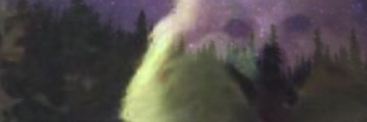 spazner's profile banner image