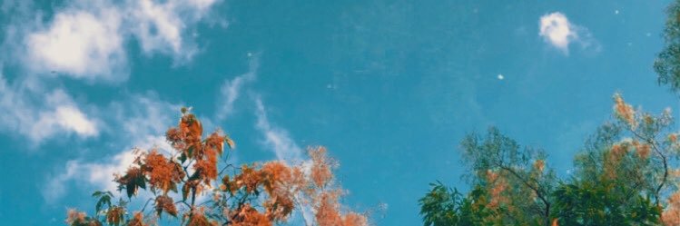 equisefedea's profile banner image