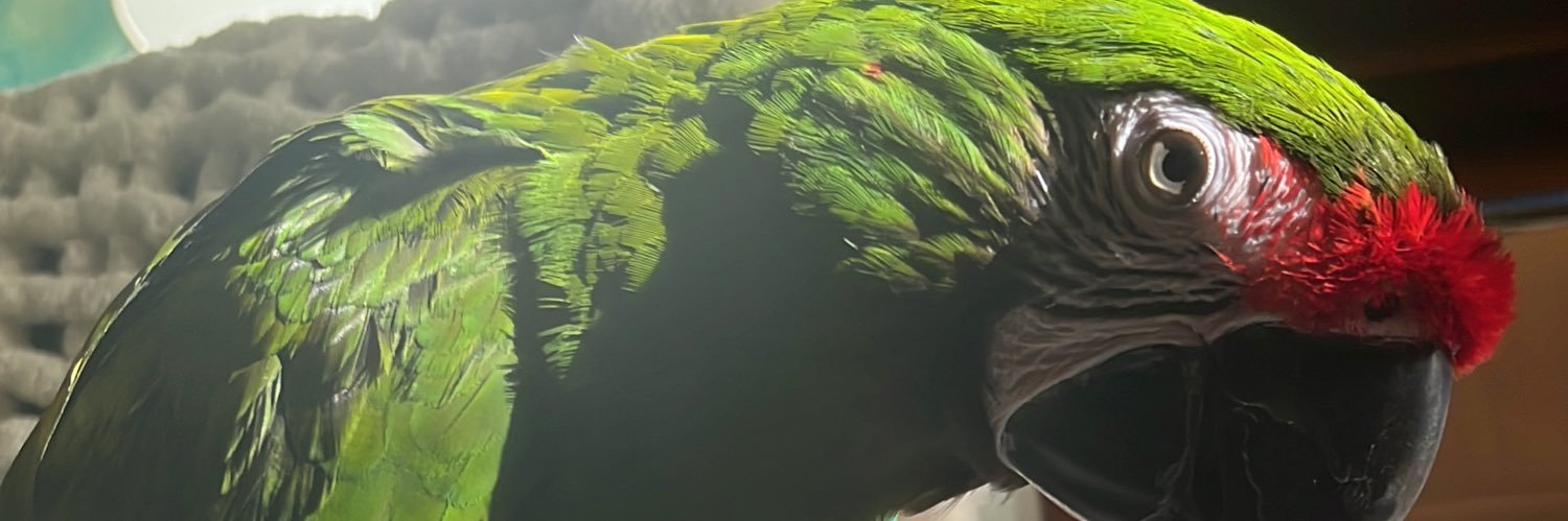 Rogred7's profile banner image