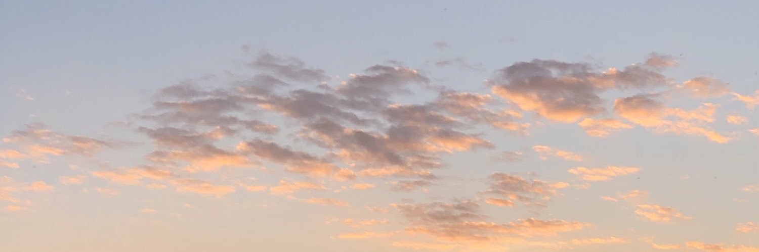 nunurbsns's profile banner image