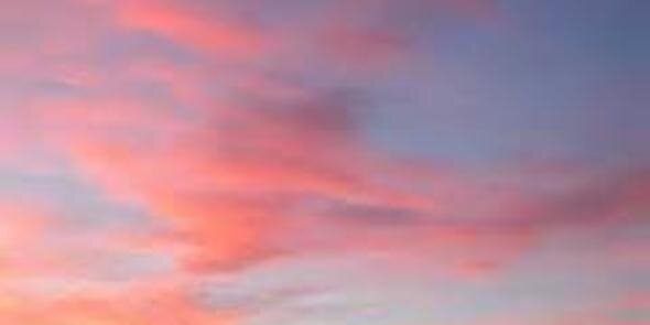 CCCBBA's profile banner image