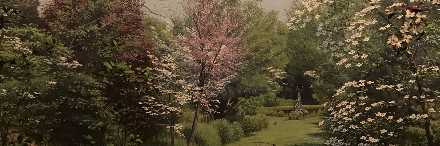 tallydahly's profile banner image