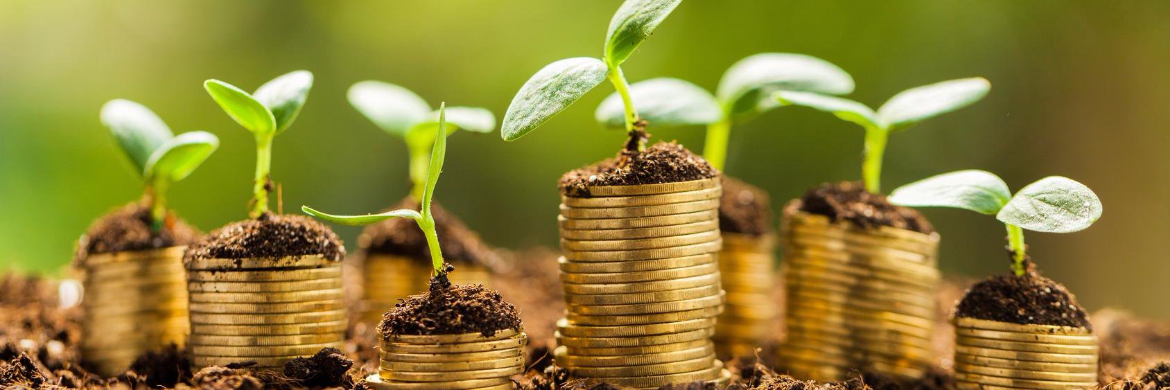 EndeavourGreen's profile banner image
