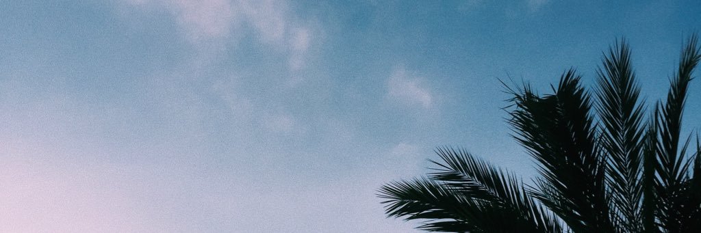 tinysealion's profile banner image