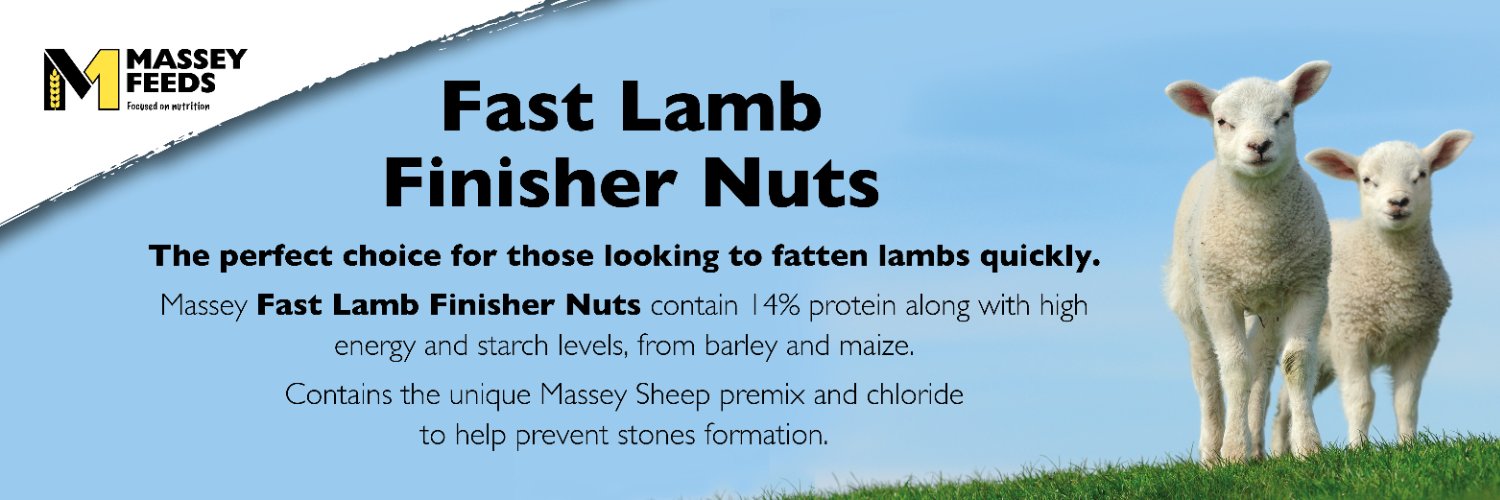 MasseyFeeds's profile banner image
