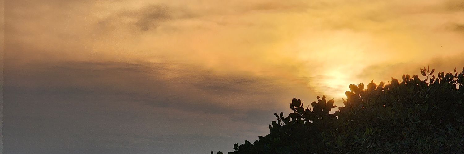 ardianimell's profile banner image