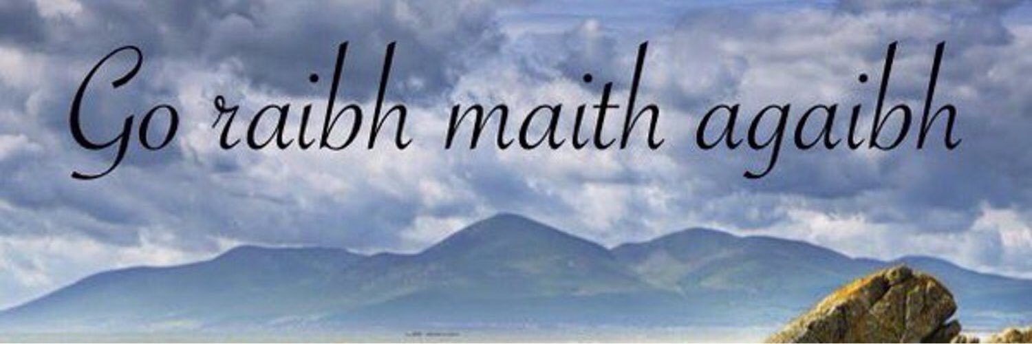 CastlewellanSF's profile banner image