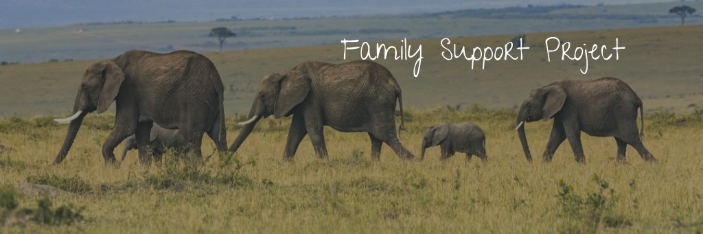 FamilySupportProject banner