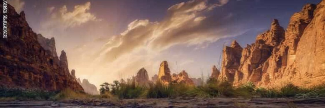 msaaaa3d's profile banner image