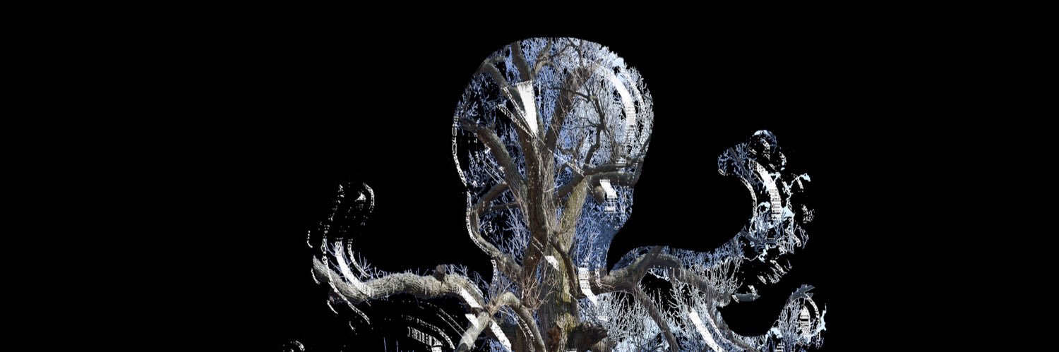 ardentoctopus's profile banner image
