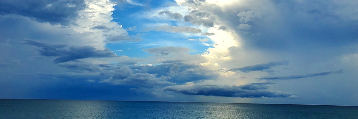 Marko banner
