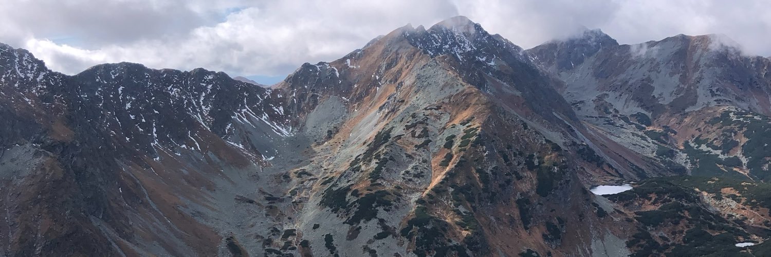 zgodny8's profile banner image