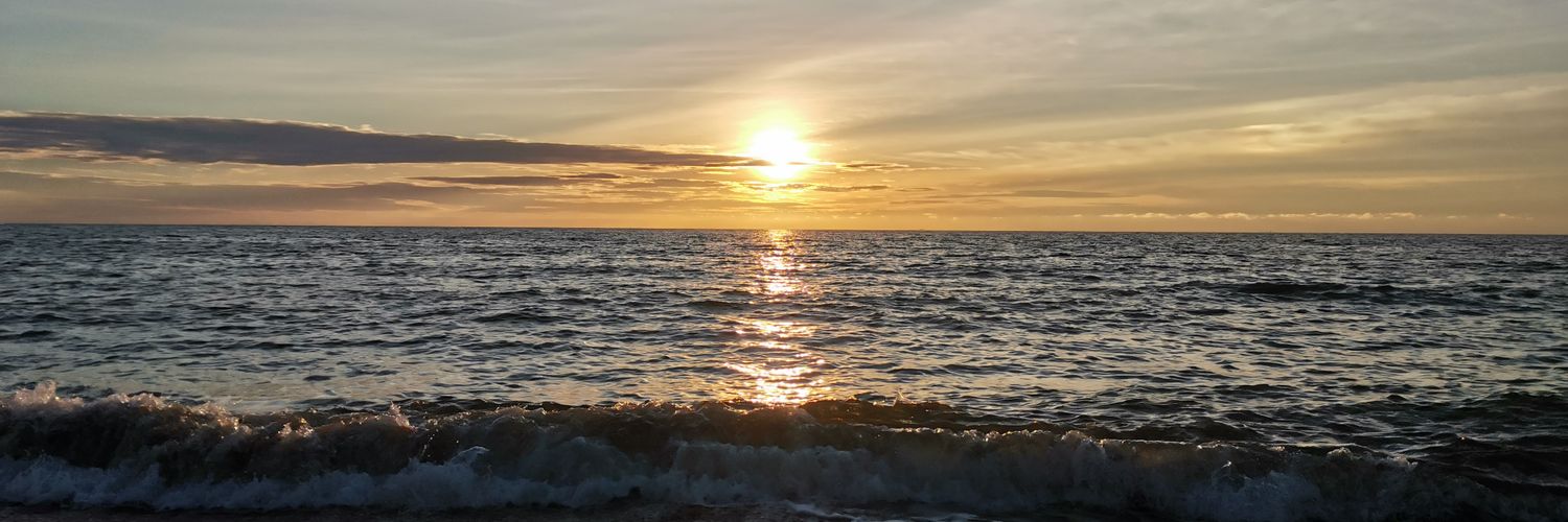 hensALFA's profile banner image