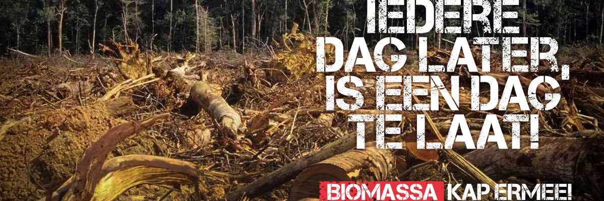 TimberGroen's profile banner image