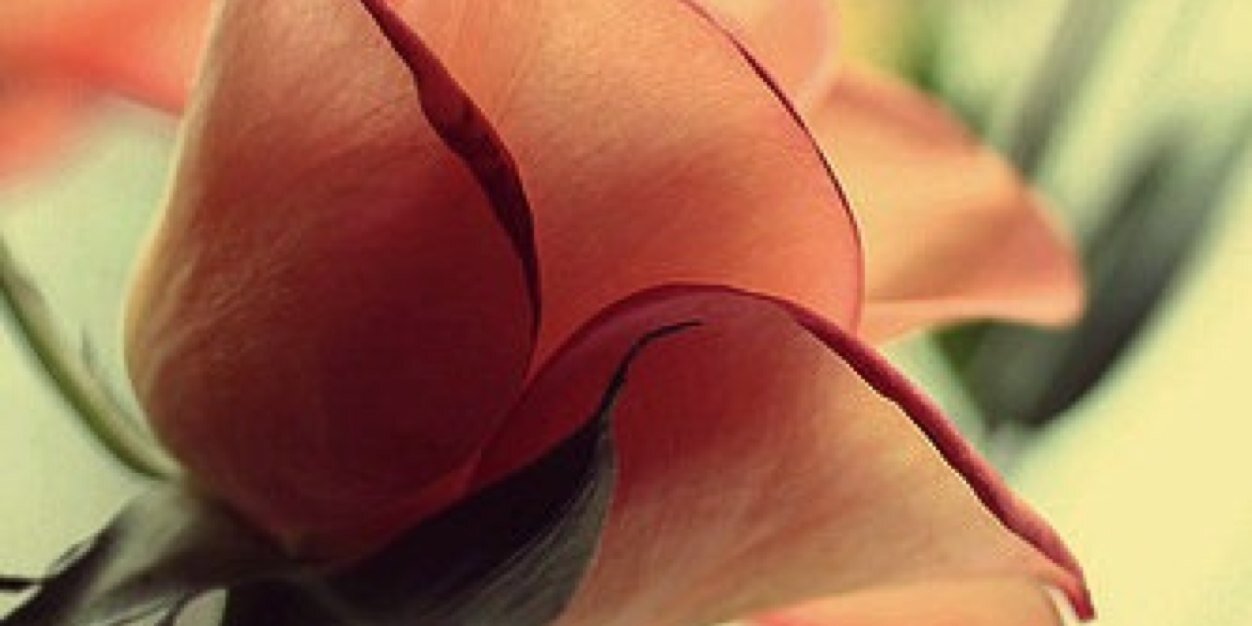 aamooooora4's profile banner image