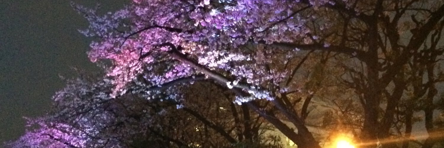 bb___jpn's profile banner image