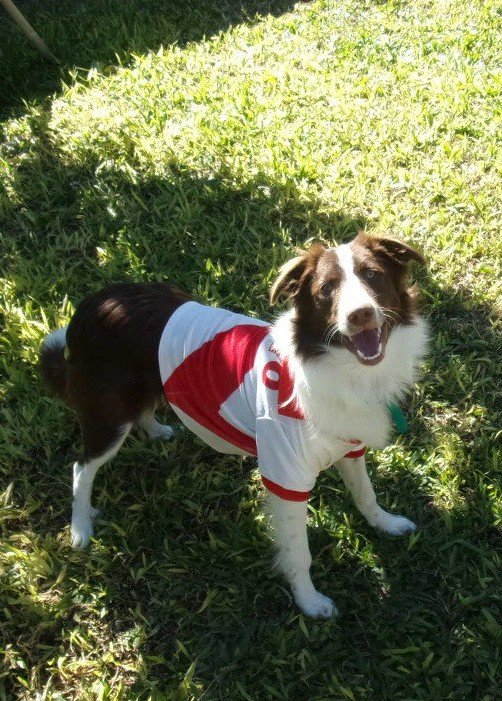 River ⚪🔴⚪ banner