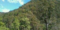 DeperezM's profile banner image