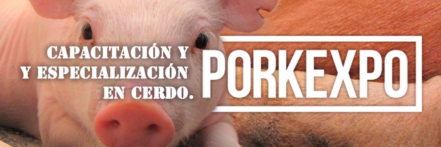 PORK_EXPO's profile banner image