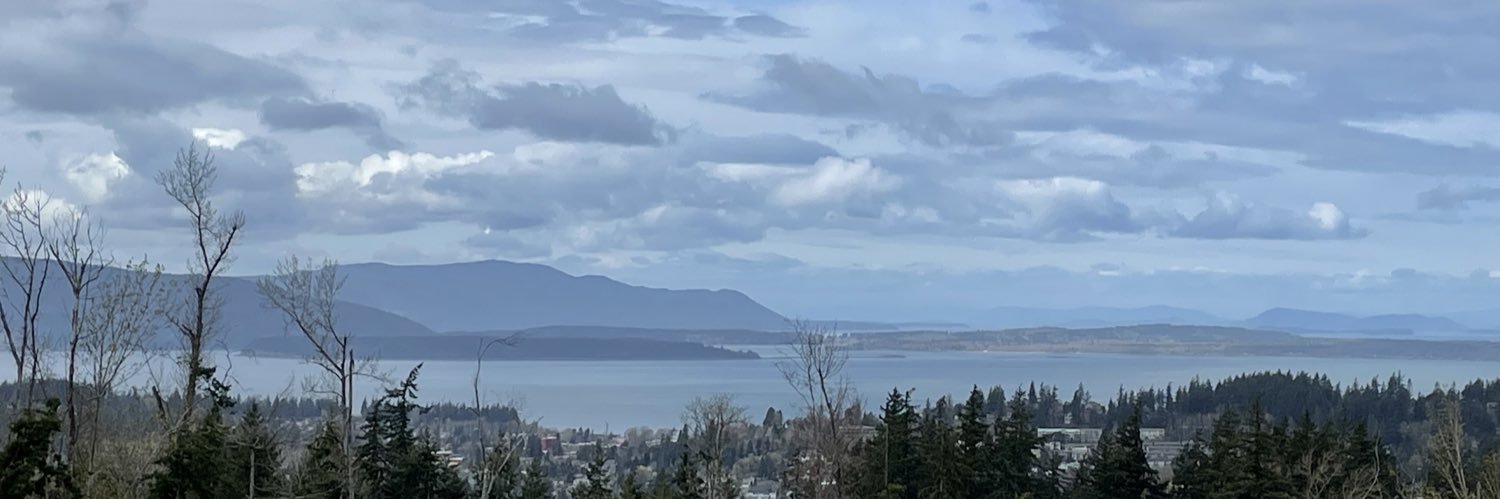 debbiehaliday's profile banner image