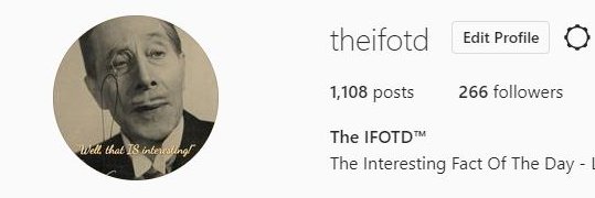 theifotd's profile banner image