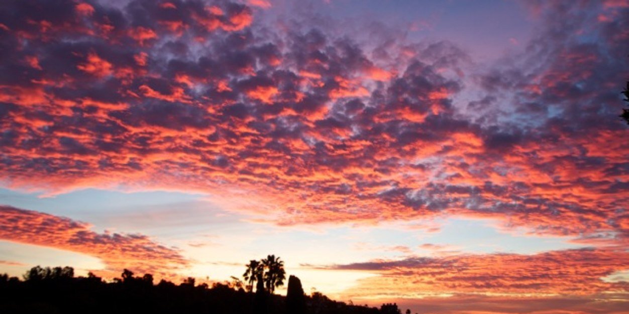 deborahwaldpics's profile banner image