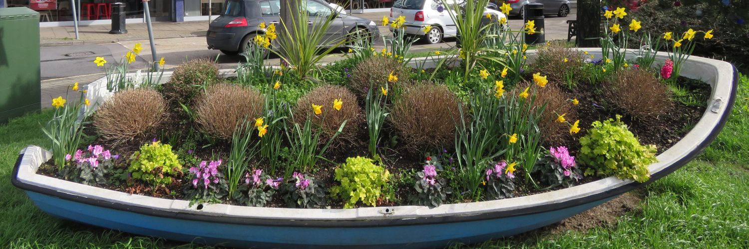 Valerie Turner 💙 banner