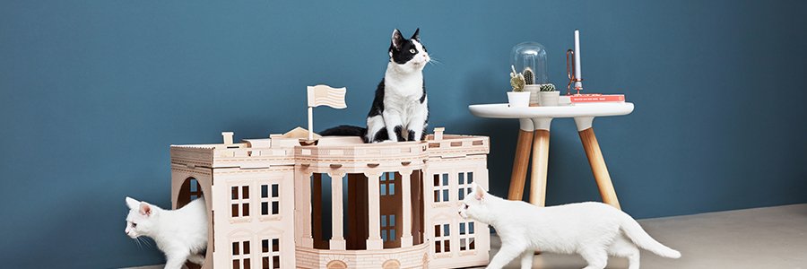poopy_cat's profile banner image