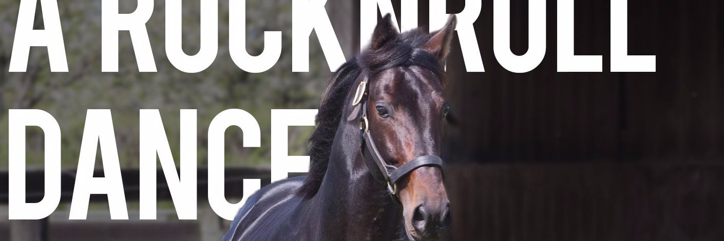 ARocknrollDance's profile banner image