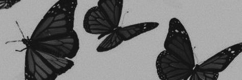 urmileaa's profile banner image