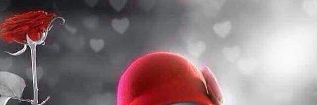 AhmedRoses's profile banner image